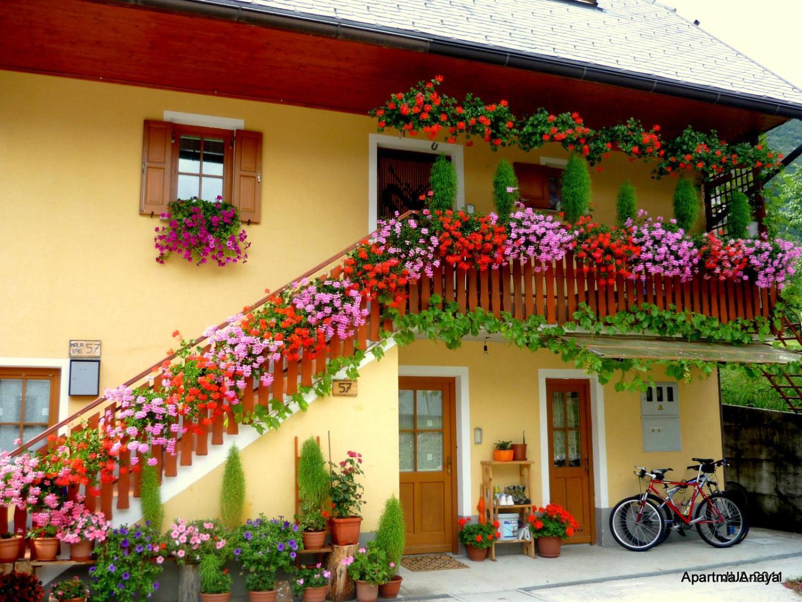 Apartment Anaya Paradise For Families Bovec Exteriér fotografie